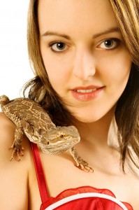 cornelia_und_bartagamen